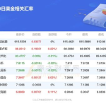 卢布汇率查询,洞察汇率波动，把握投资机遇