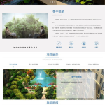 石家庄网站设计,打造专业视觉体验，助力企业品牌形象升级