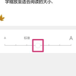 页面字体变大,页面字体调整技巧与优化方法