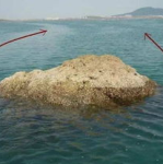 浮游矶钓,技巧装备与钓法解析