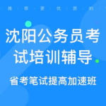 沈阳公务员考试,备考攻略与职位解析”