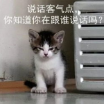 吃瓜娱乐的喵哥是谁呀,吃瓜娱乐界的神秘喵星人