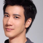 王力宏老婆个人简历,才华横溢的职场精英与音乐才女